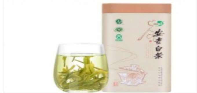 白茶适合啥季节喝