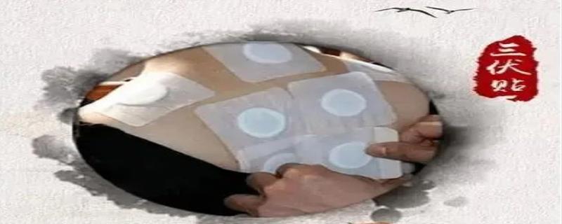 三伏贴多少钱一个疗程