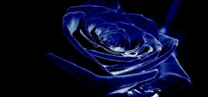 蓝色代表什么含义