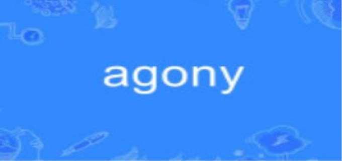 agony是什么意思