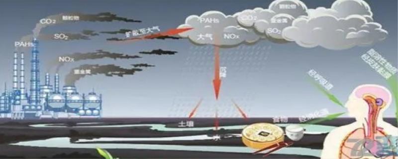 空气污染带来的危害有哪些