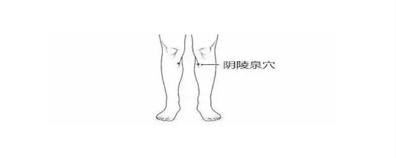 阴陵泉的作用