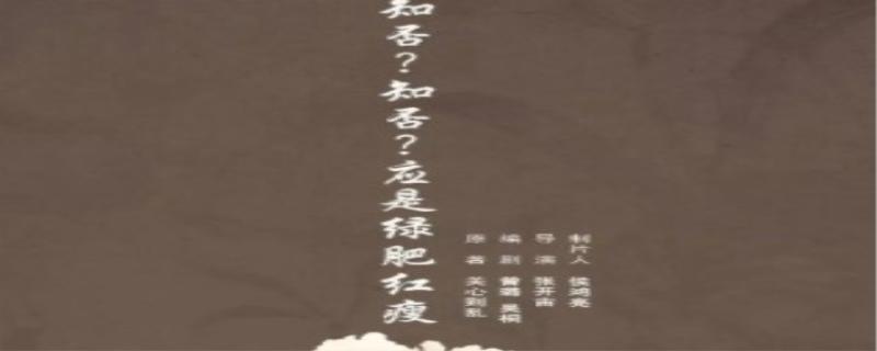 知否知否应是绿肥红瘦是什么意思