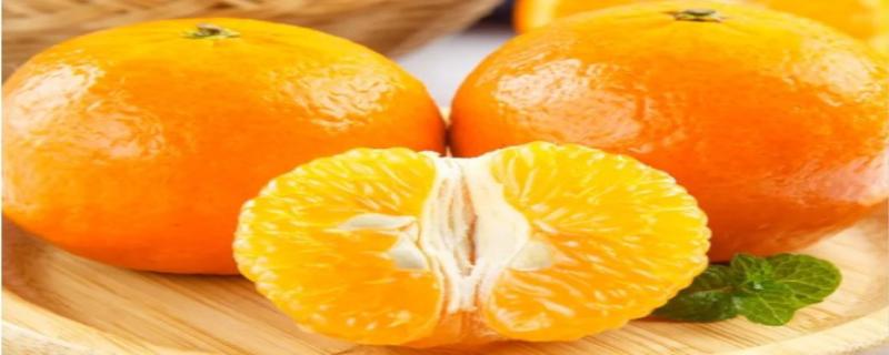 沃柑的功效与作用 沃柑是凉性的还是热性的