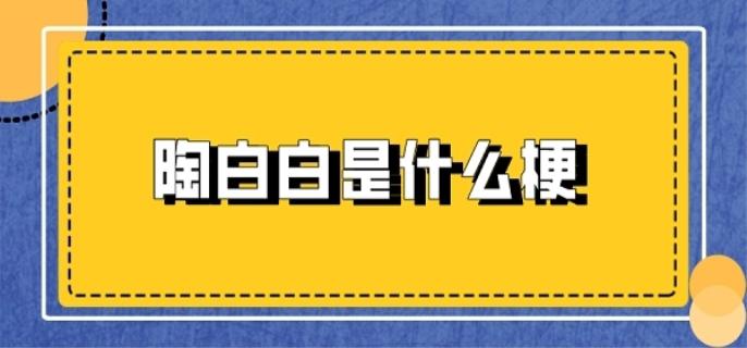 陶白白是什么梗