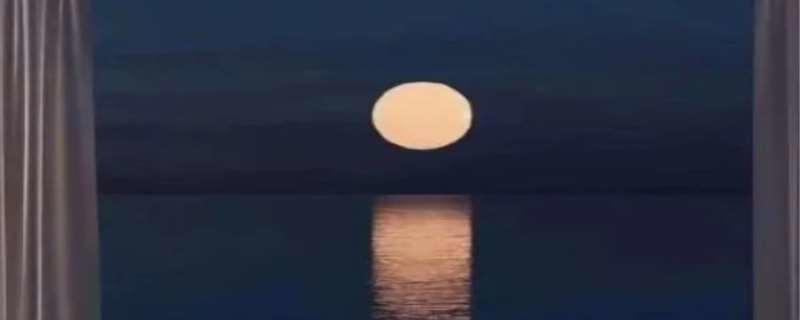 爱意东升日落浪漫至死不渝是什么意思