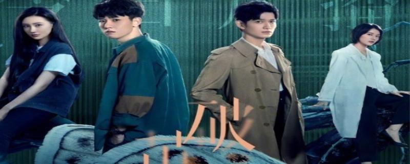 特别出演是什么意思