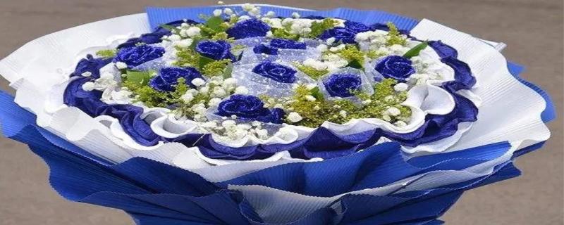 蓝色妖姬玫瑰花语有哪些