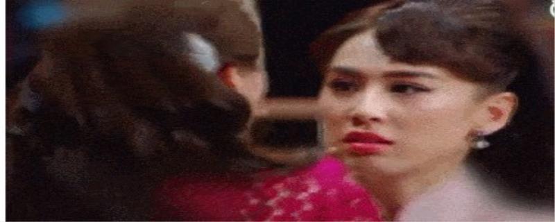 海娃死了是什么梗