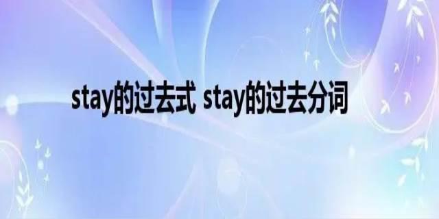 stay过去式是