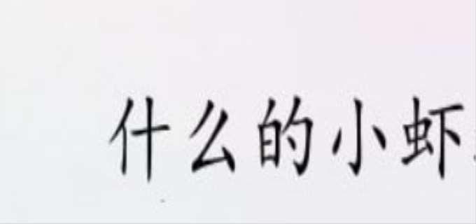 什么的小虾