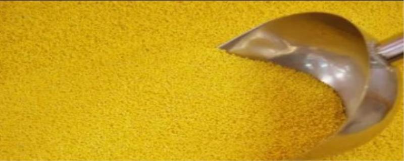 小米虫子的原因及方法