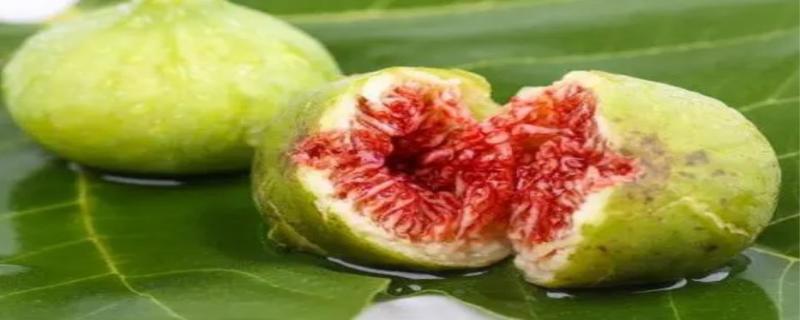 无花果汁的功效有哪些