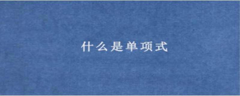 什么是单项式