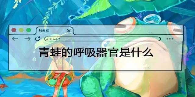 青蛙靠什么呼吸