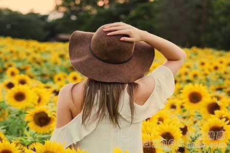 赵薇演过的电视剧有哪些