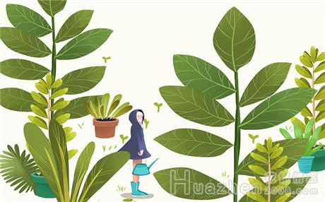 双子座女生和什么座最配