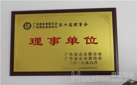 刘晓洁个人资料之演艺生涯介绍