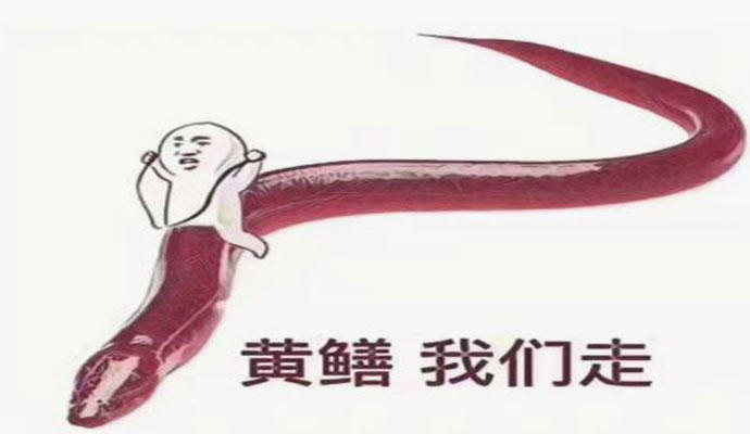皮皮鳝我们走是什么梗 因为黄鳝女主播走红