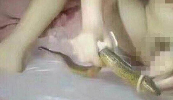 皮皮鳝我们走是什么梗 因为黄鳝女主播走红