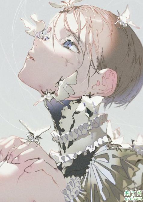 老司机说的p站是什么 p站是什么意思