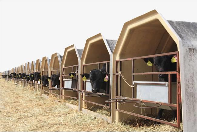 低成本现代化1000只小型标准散养鸡场鸡舍规划设计效果图