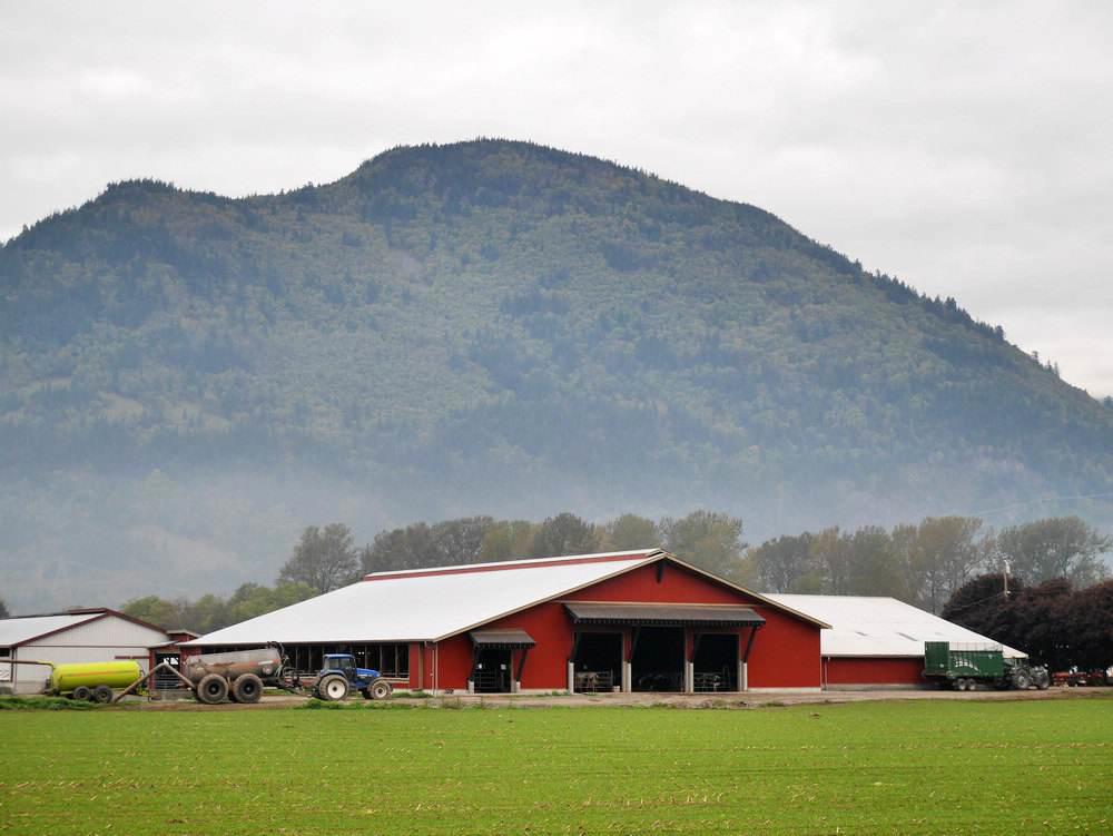 低成本现代化1000只小型标准散养鸡场鸡舍规划设计效果图
