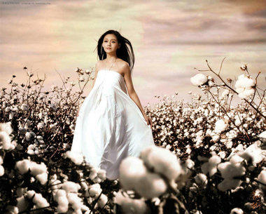 明星大s婚纱照全套图片 大s徐熙媛与老公汪小菲婚纱照原片欣赏