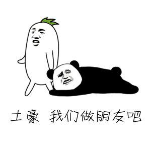 “土豪我们做朋友吧”是什么意思？