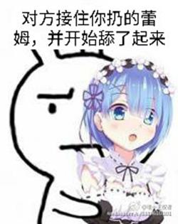 “丢你雷姆”是什么意思？