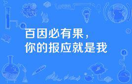 “百因必有果，你的报应就是我”是什么意思？