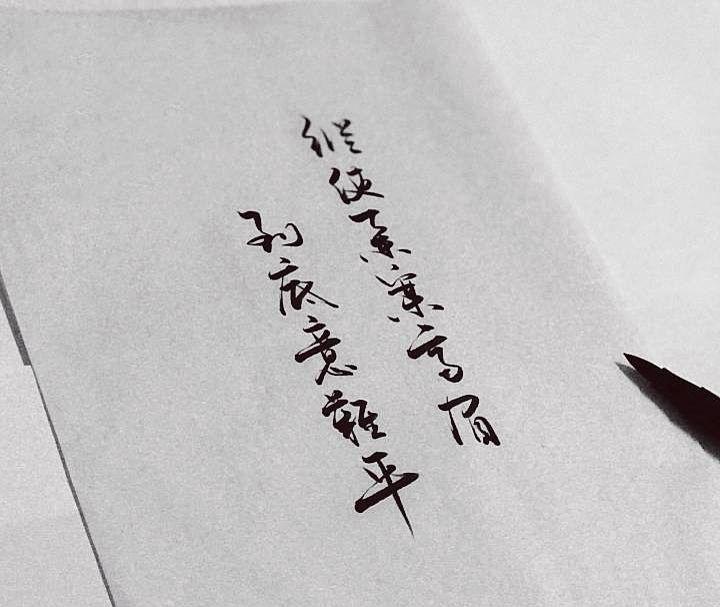 “纵然是齐眉举案,到底意难平”是什么意思?