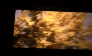 范爷的“马震”是什么意思？