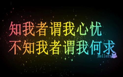 “知我者,谓我心忧；不知我者,谓我何求”是什么意思？