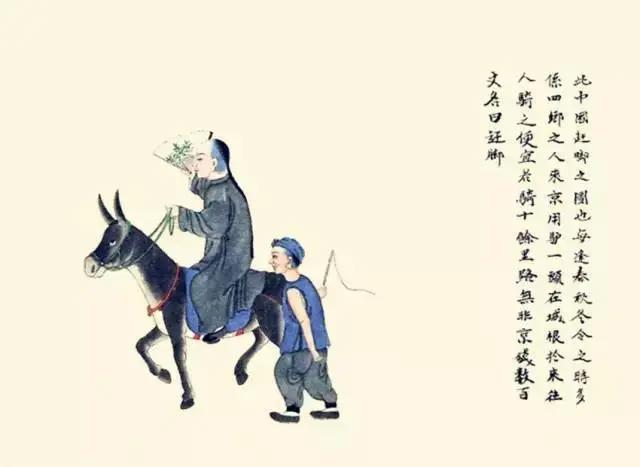 【网络用语】“赶脚”是什么意思？