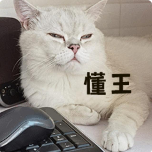 【网络用语】“懂王”是什么意思