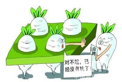 “一个萝卜一个坑”是什么意思？