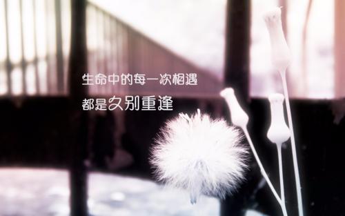 “世间的所有相遇都是久别重逢”是什么意思？