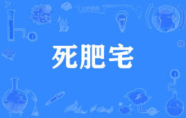 【网络用语】“死肥宅”是什么意思？