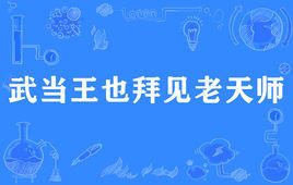 “武当王也拜见老天师”是什么意思?