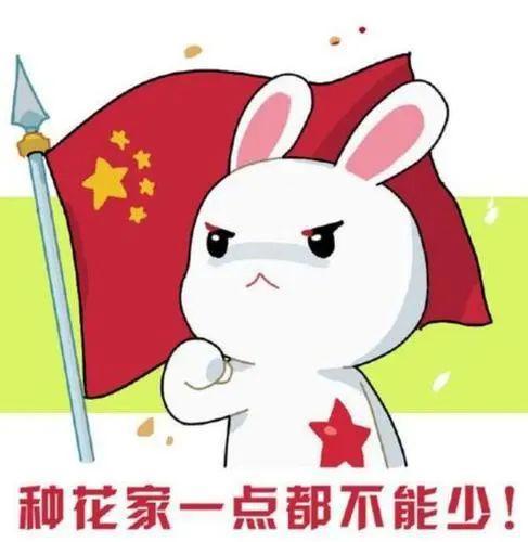 种花家是什么意思（种花家的为啥是兔子）