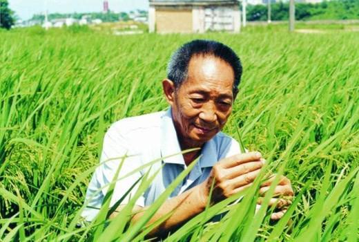 “我最大的错误就是让你们吃的太饱了”什么意思？