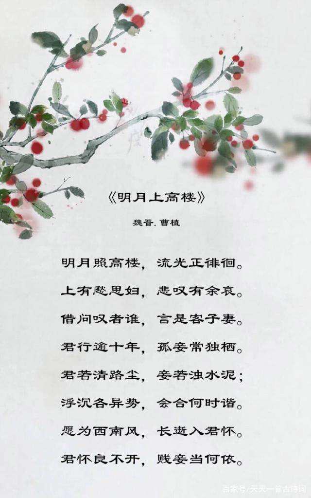 “愿为西南风，长逝入君怀”是什么意思？