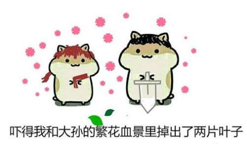 【网络用语】“fzl”什么意思?