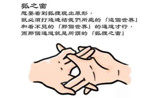 狐狸之窗是什么意思,是真的吗