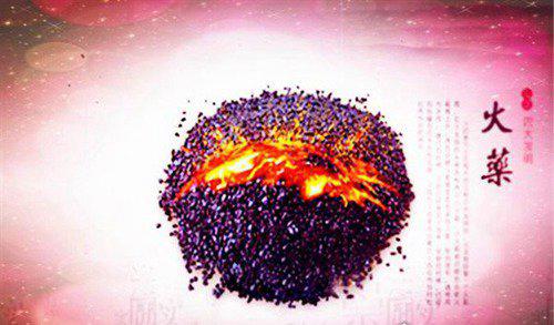 火药是什么时候发明的