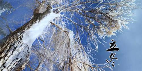 立冬和冬至是一天吗