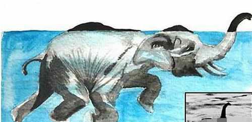 尼斯湖水怪之谜 尼斯湖水怪真相曝光