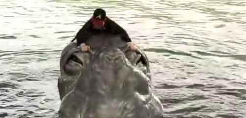 尼斯湖水怪之谜 尼斯湖水怪真相曝光