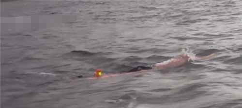 尼斯湖水怪之谜 尼斯湖水怪真相曝光